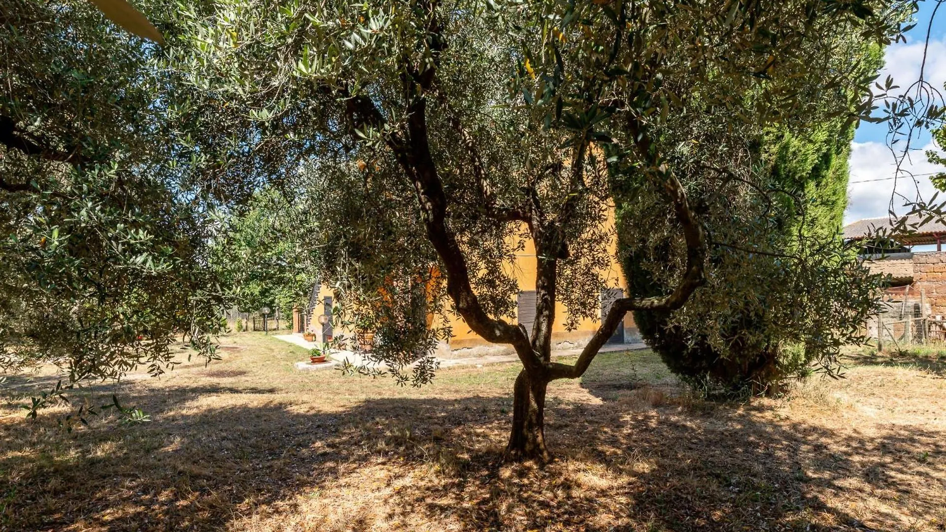 Holiday Home Podere Cavaceppi By Interhome بيتيجليانو