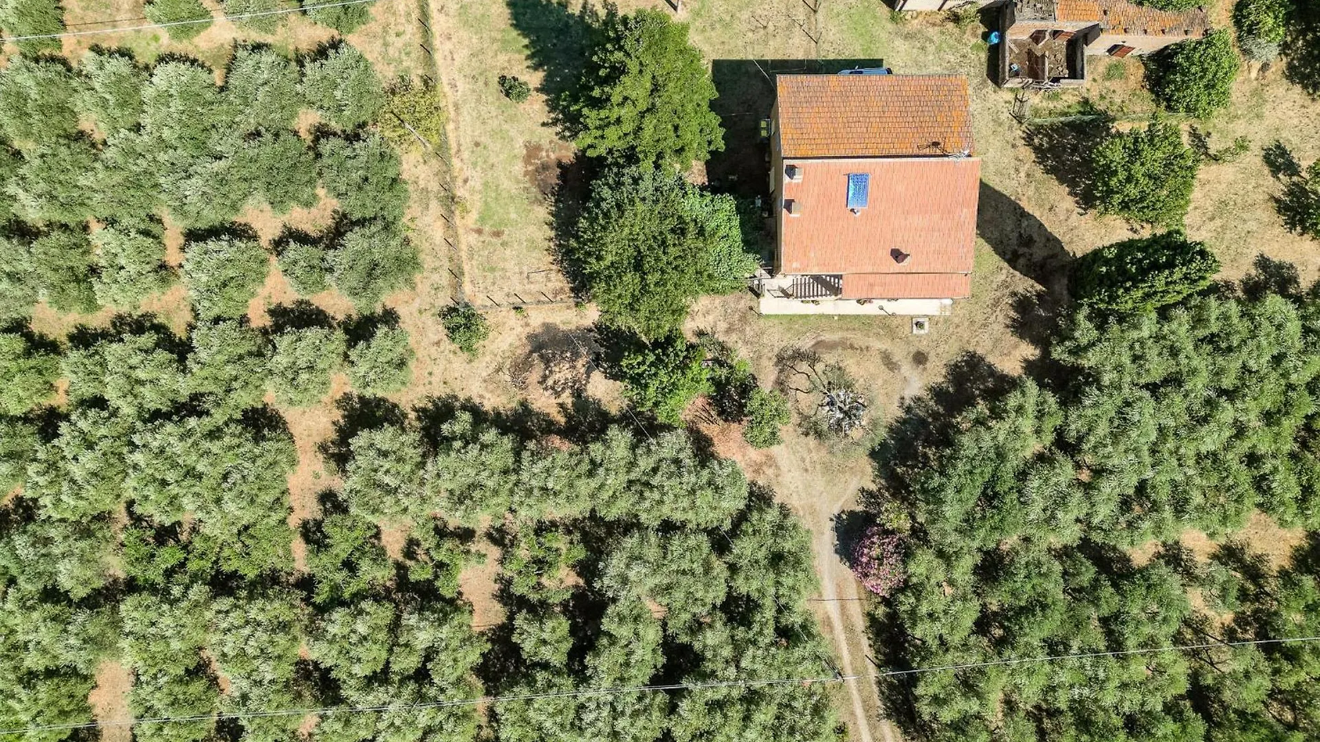 Holiday Home Podere Cavaceppi By Interhome بيتيجليانو